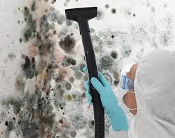 Best Mold Odor Removal Services  in Fort Drum, NY